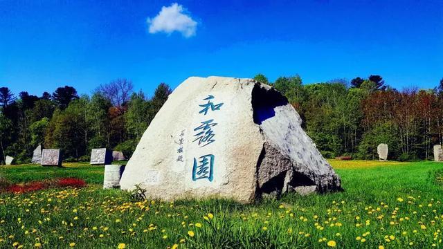 救援快乐的兔子